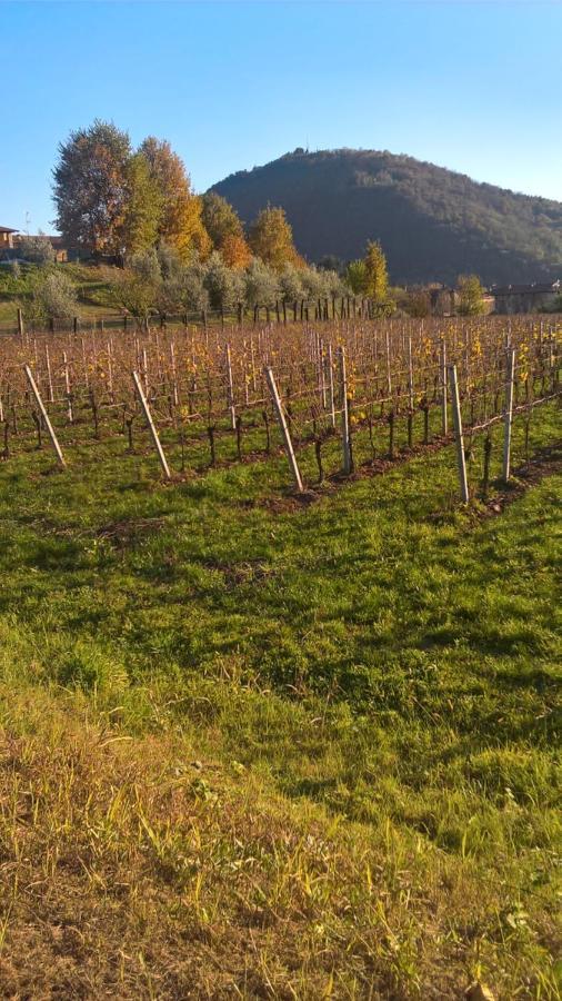 Acero Rosso B&B In Franciacorta Erbusco Exterior photo