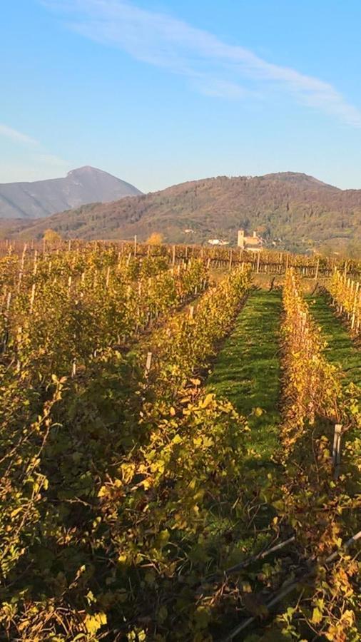 Acero Rosso B&B In Franciacorta Erbusco Exterior photo